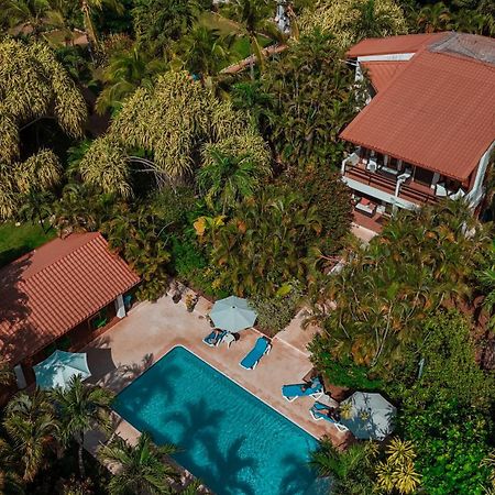 Hotel Villa Del Sol Coco Eksteriør billede