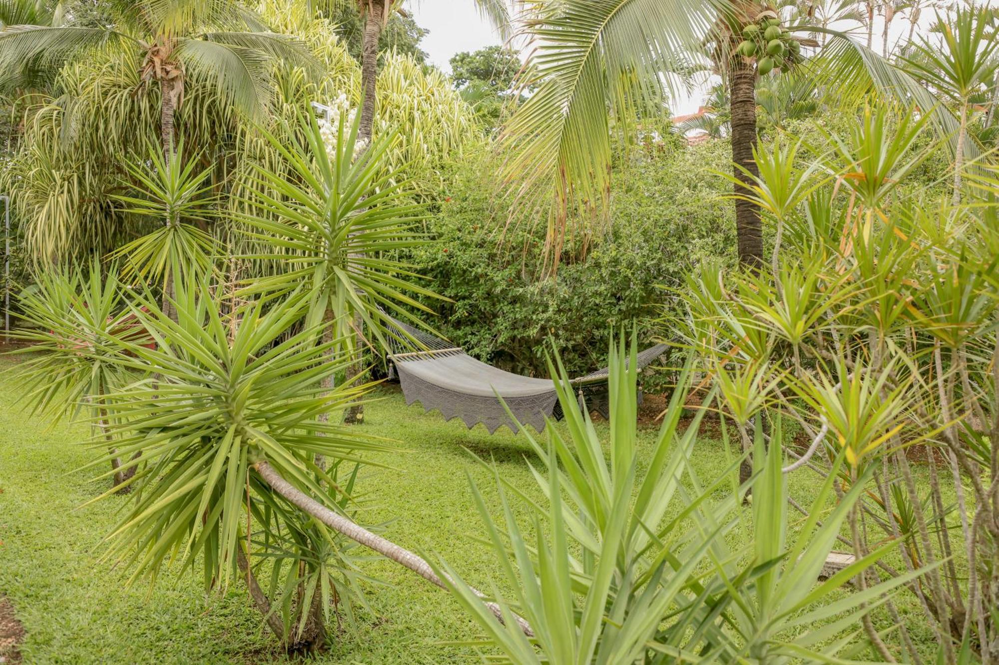 Hotel Villa Del Sol Coco Eksteriør billede