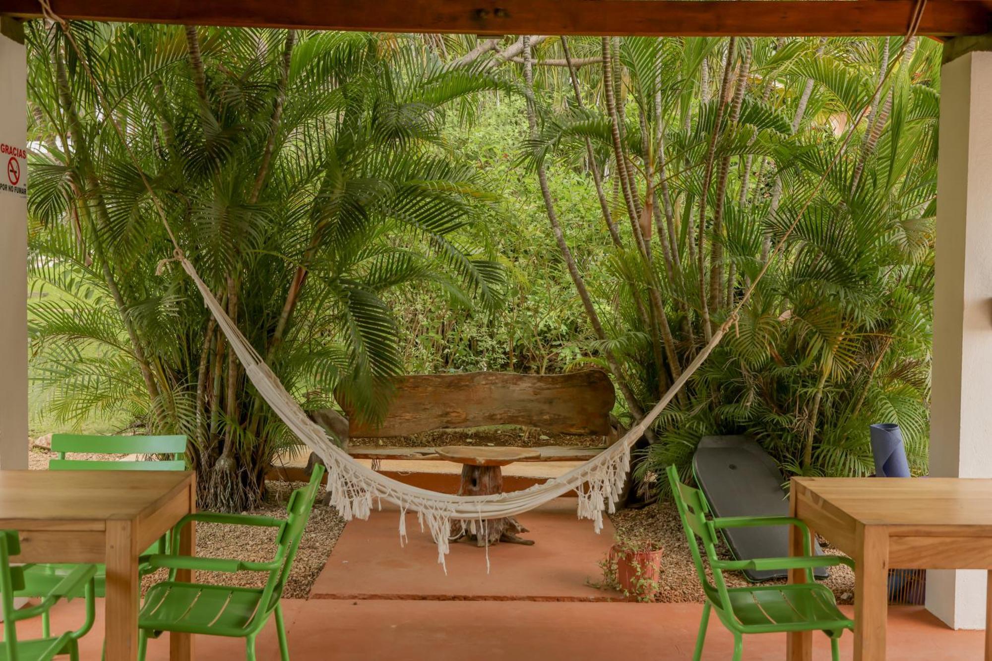 Hotel Villa Del Sol Coco Eksteriør billede