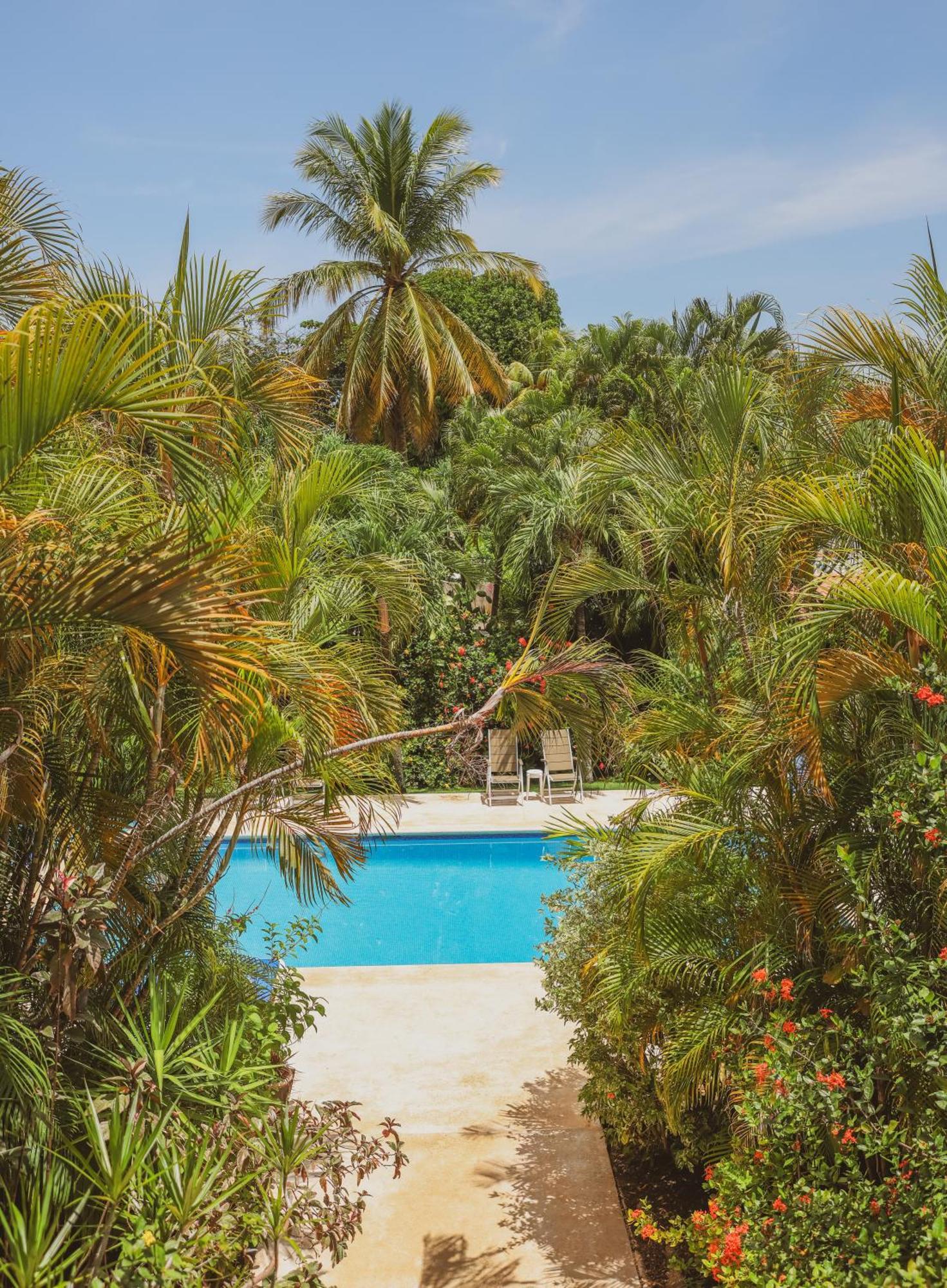 Hotel Villa Del Sol Coco Eksteriør billede