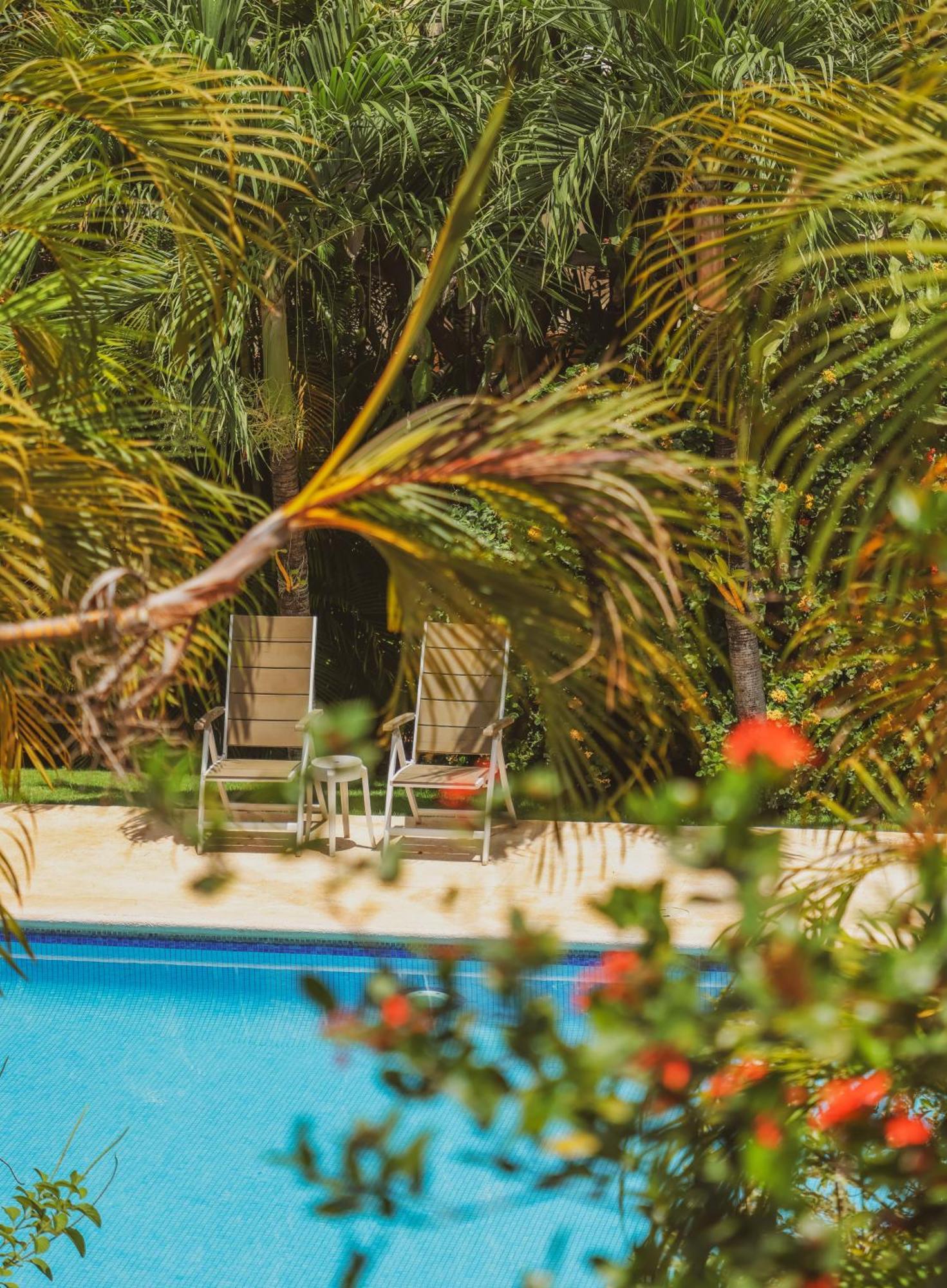 Hotel Villa Del Sol Coco Eksteriør billede